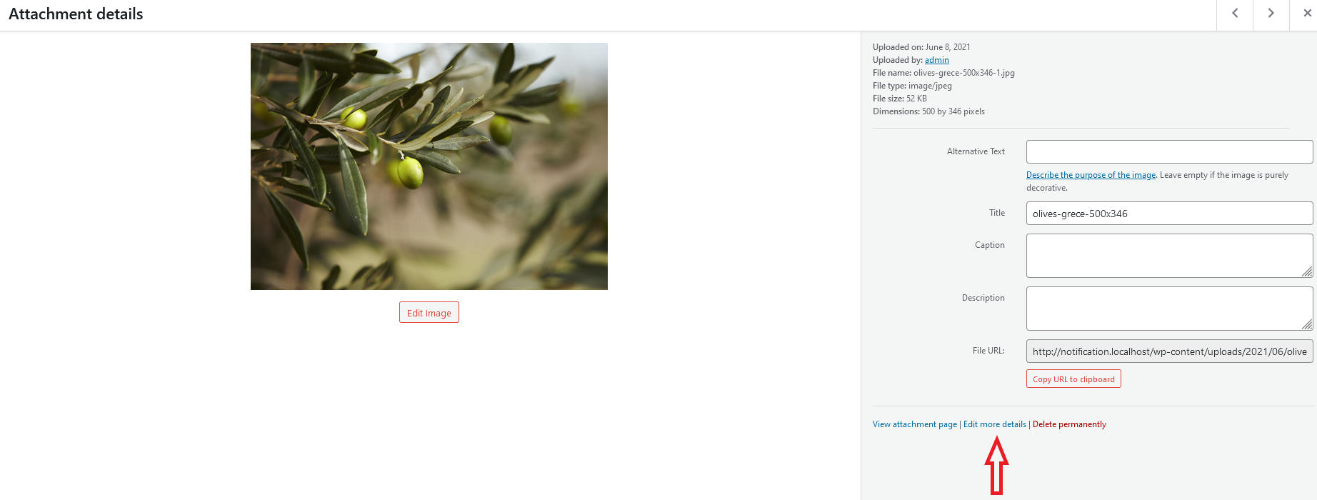 WordPress Media Library edit attachment details link